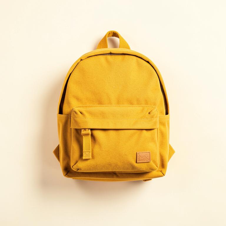 Mini Canvas Backpack